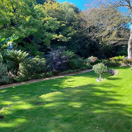 Tropical Gardens 1 Bed Cottage Central Newlyn Exterior foto